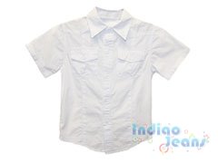 Классичекая рубашка с коротким рукавом, арт. 63267.