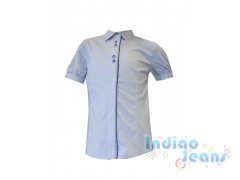 Блузка в серую полоску с коротким рукавом, арт. К701414.