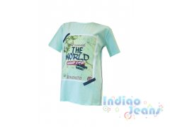 Мятная футболка для мальчиков, арт.  180057.